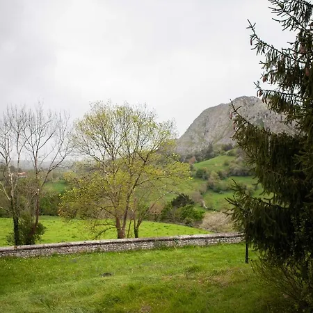 Paraiso En Arriondas B *