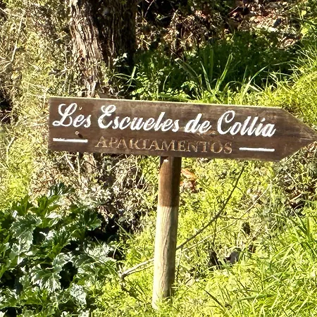 Holiday home Escuelas De Collia B At-1537-as Arriondas